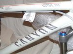 detalle canyon nerve am.jpg