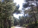 Imagen039.jpg