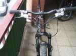 DSCF0534.jpg