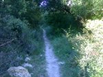 07072008947.jpg
