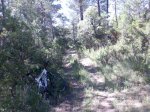 Imagen060.jpg