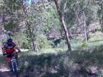 Imagen079.jpg