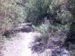 Imagen084.jpg