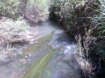 Imagen088.jpg