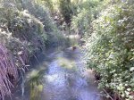 Imagen089.jpg