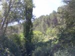 Imagen090.jpg