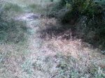 Imagen095.jpg