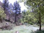 Imagen097.jpg