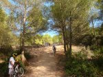 DSC08054.jpg