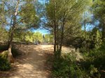 DSC08055.jpg