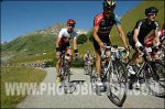 marmotte 9.jpg