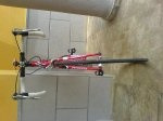 DSC00368.jpg