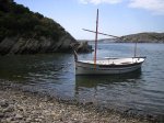 IMG_7576.jpg