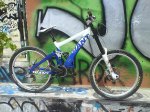 DSC01666.jpg