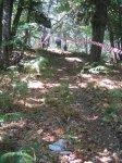 IMG_3302.jpg