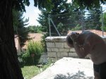 foto 403.jpg