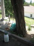 foto 405.jpg