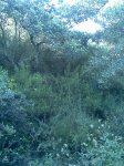 Imagen018.jpg