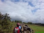 DSC00737.jpg