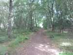 DSC00738.jpg