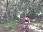 DSC00740.jpg