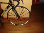 DSC01488.JPG