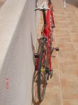 DSC03986.jpg