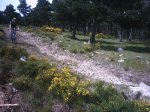 canencia morcuera 064.jpg
