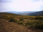 canencia morcuera 066.jpg
