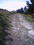 canencia morcuera 067.jpg