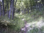 canencia morcuera 081.jpg