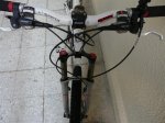 Pupi 022 (Medium).jpg