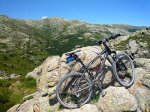 orbea2.jpg