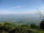 IMG_0290.jpg