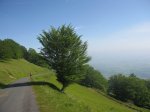 IMG_0293.jpg
