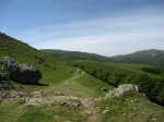 IMG_0300.jpg
