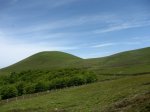 IMG_0307.jpg