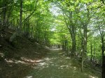 IMG_0308.jpg