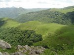 DSC04880.jpg