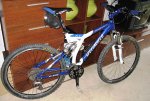 Bici 001.jpg