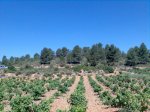Imagen069.jpg
