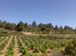 Imagen070.jpg