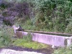 09072008(008).jpg