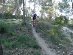 DSC00804.jpg