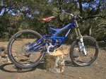 Specialized_2009_Demo-798-99.jpg