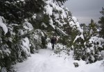 Mucha nieve en la senda.jpg