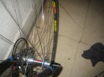 IMG_0482_1 Trasera DT.jpg