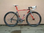red-586.jpg
