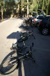 DSC06942.JPG