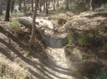 DSC07086.JPG
